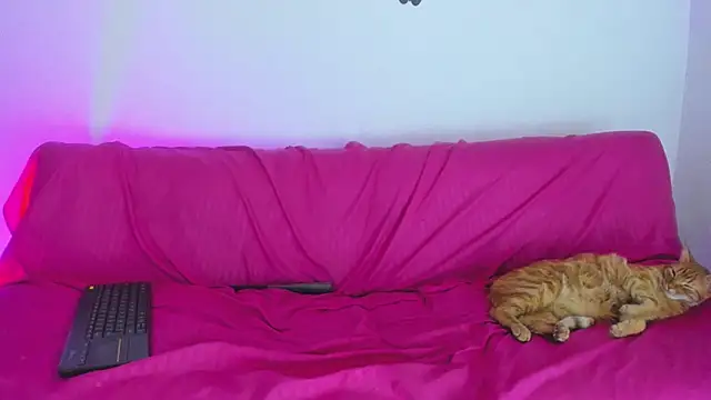 Nikki__uwu – Live XXX-chat
