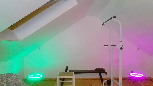 NinjaLaser Webcam show