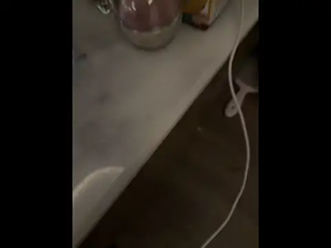 Arina_Bloom 라이브 XXX 채팅