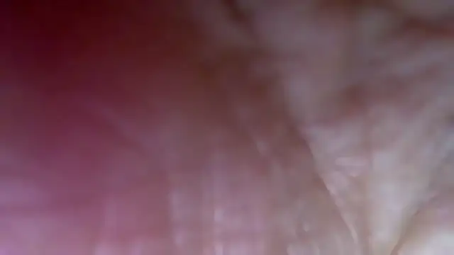 s-te-fan-i Webcam-Show