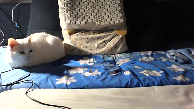 Chat XXX Live KaelNox