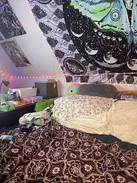 SuzyCatzz Live XXX-chat
