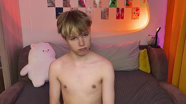 عرض كام metarion