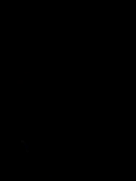 nocsivag – webcam-show