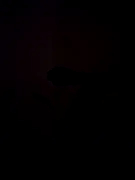 Tommyzzzzzzn Webbikameraesitys