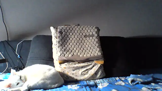 KaelNox Live XXX-chat