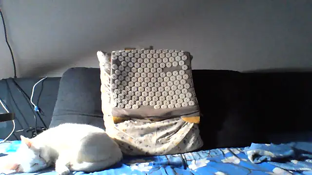 Chat +18 de KaelNox ao vivo