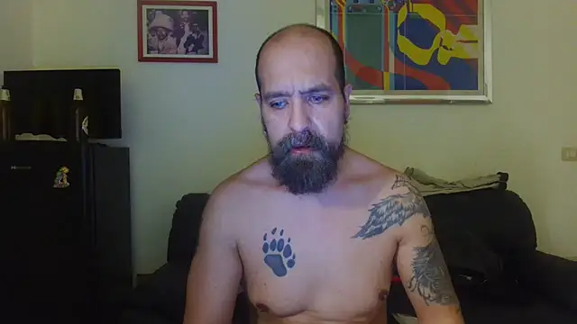 Chat XXX Live AMIRDIB2025
