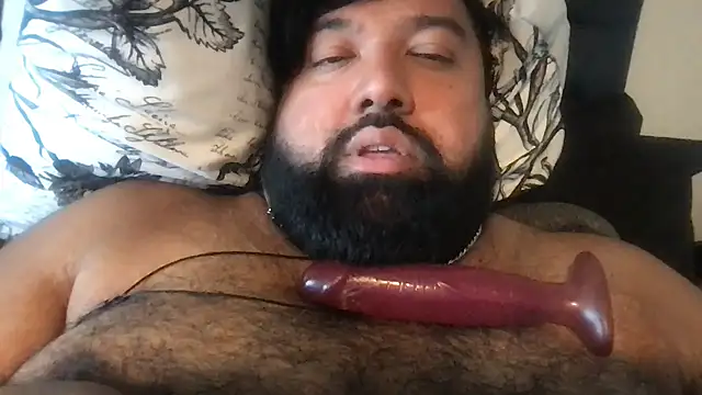 Show webcam de TheKingWasi