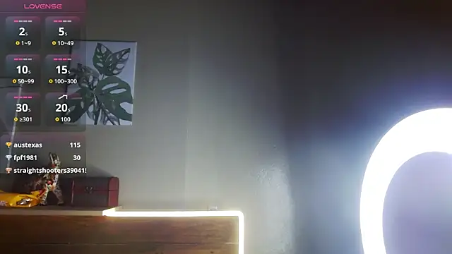 SonicJ25 ও য়েবক্যাম শো