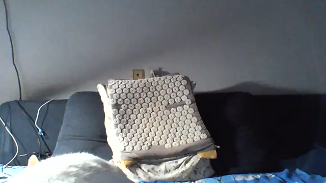 KaelNox live XXX chat