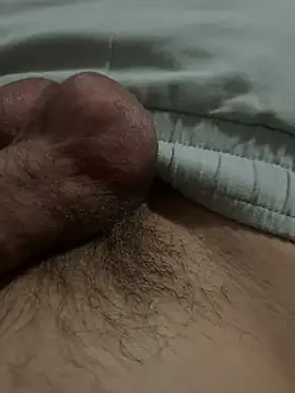 Dentist17 webkamerás műsora