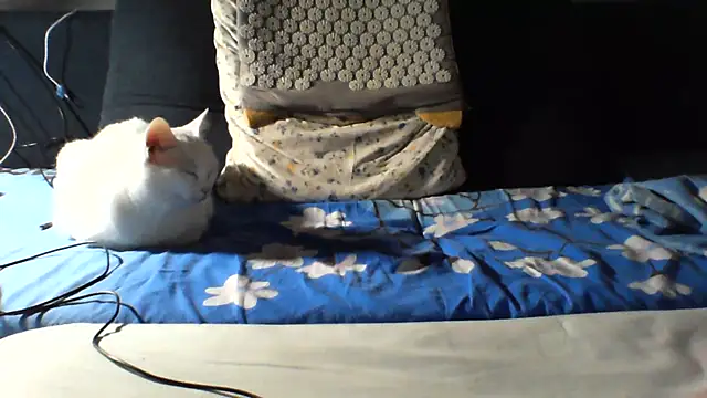 Chat XXX ao vivo de KaelNox