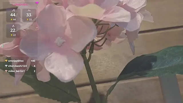 vickvalencia2 라이브 XXX 채팅