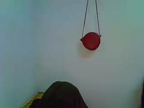 Show de -GINN- na webcam