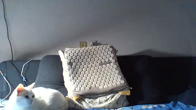 KaelNoxn Live XXX chat