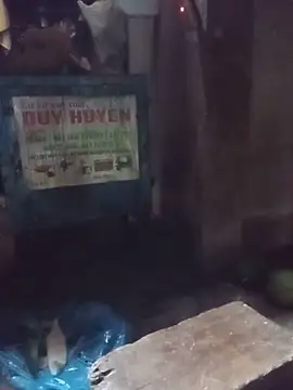 tuyet-nhi Obrolan Langsung XXX