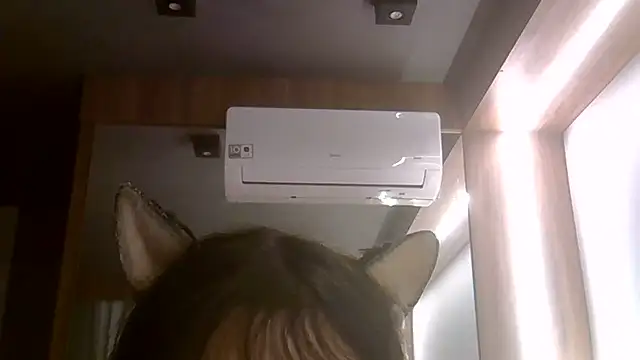 Show de webcam de SkinnyKitten