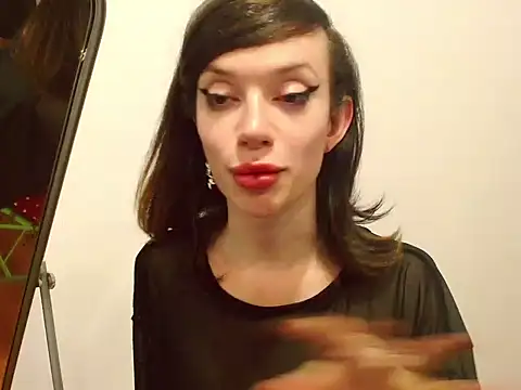 ZantWichn Webbikameraesitys