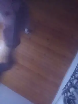 pelukeitorn Webbikameraesitys