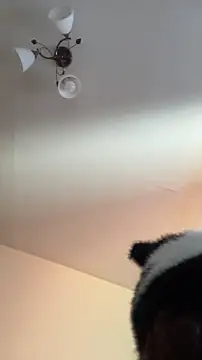 Hz1Tr Webcam-Show