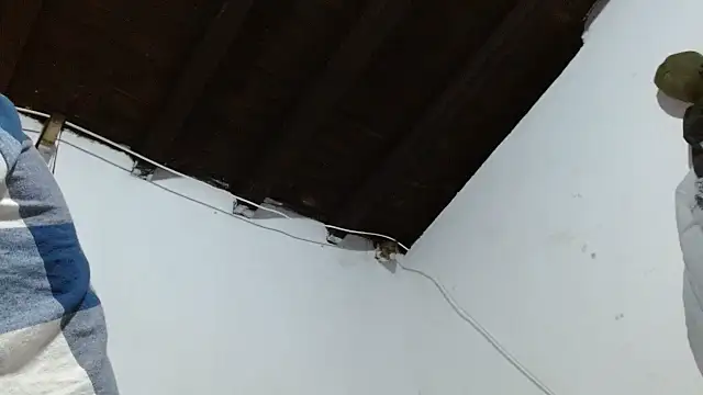 צ'אט XXX בשידור חי של sk8-sir