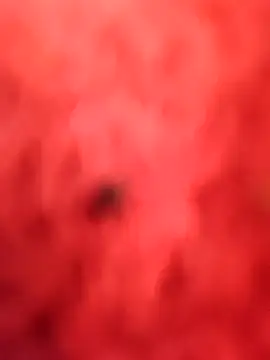 הופעת וובקאם של BigD9331