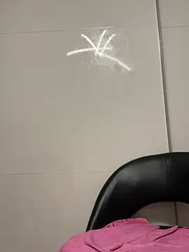 ythmlshshsn Webbikameraesitys