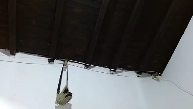 sk8-sir Live XXX-Chat