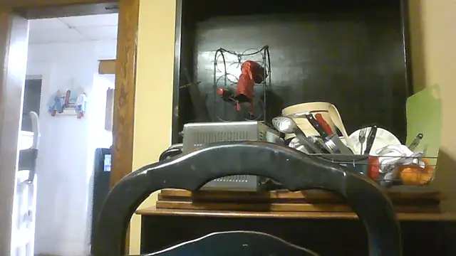 TheOneDonShaun – Live XXX-chat