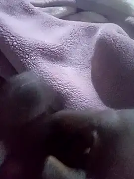 โชว์เว็บแคมของ Big_dick0122