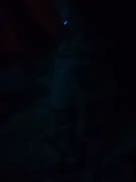 SEXY_LION7 Live XXX Chat