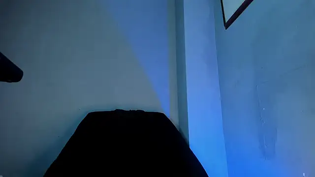 Show de webcam de Travisttanner28