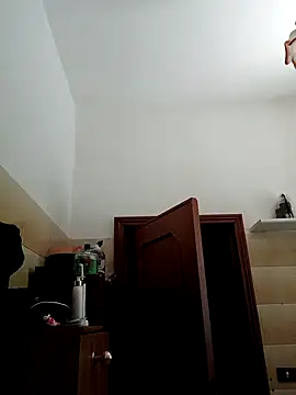 vogliosobisexn Webbikameraesitys