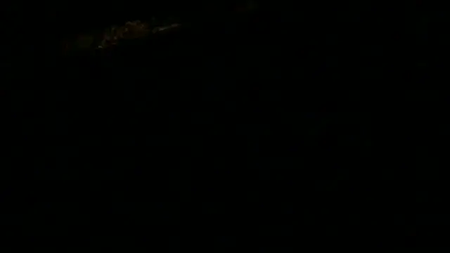 codyross' Webcam Show