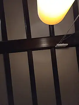 Tomsskyy Webcam-Show