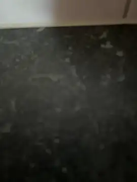 maniackle webcam show