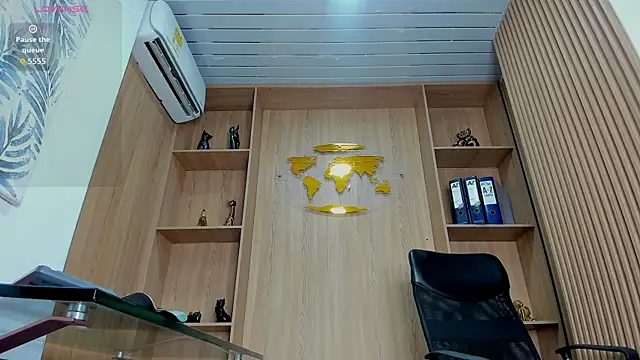 הופעת וובקאם של George_Diesell