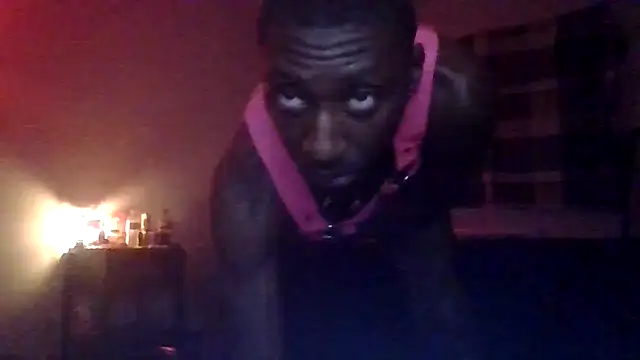 Show webcam de N2ITALL4_U