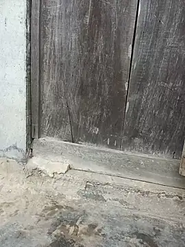 Hoa-tuylip élő XXX-chatje