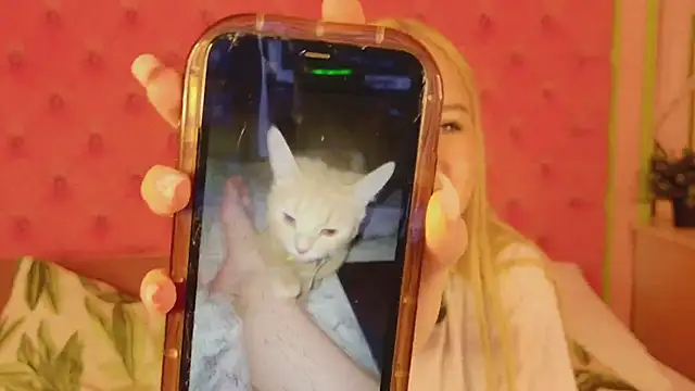 Sky_Cutie élő XXX-chatje