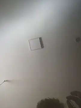 Timrwe Webcam-Show
