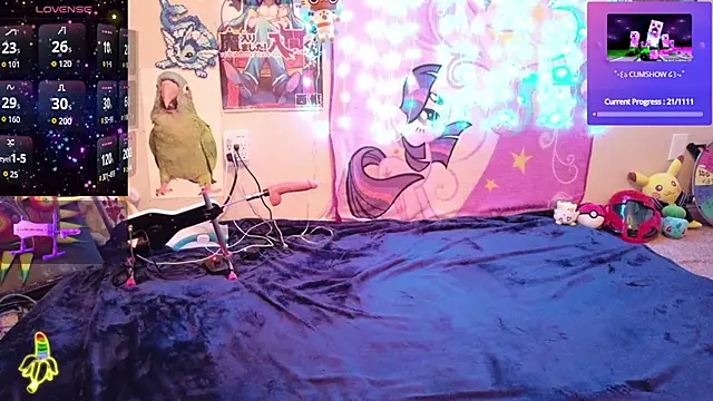 Show webcam de BabyZelda