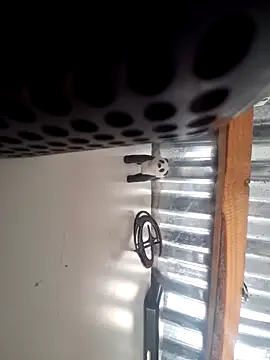 HDBoy Pertunjukan Webcam