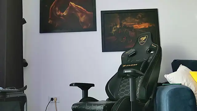 ChrisKox 网络视讯表演