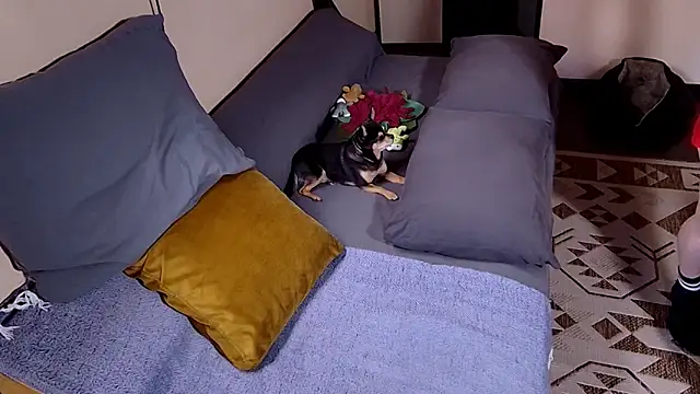 Živý XXX chat G0LDI