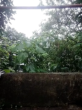 phlin1 Show Webcam