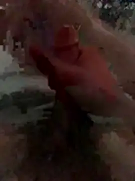 Show webcam de Wassimdz410