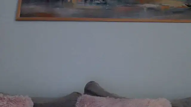 cleophee Live XXX Chat