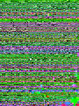 Poly_Nick's Webcam Show
